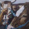 Man with Two Cows – Original Oil on Canvas  (135x135cm)