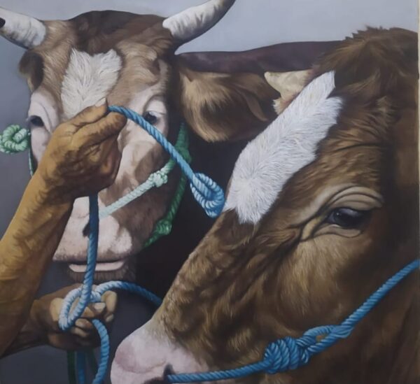 Man with Two Cows – Original Oil on Canvas  (135x135cm)